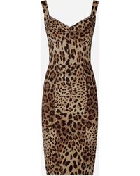 Dolce & Gabbana - Leopard-Print Cady Corset-Style Midi Dress - Lyst