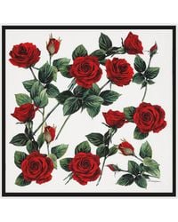 Dolce & Gabbana - Logo Rose Print Silk Foulard - Lyst