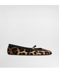 Dolce & Gabbana - Velvet Ballerinas With Animal Motif - Lyst