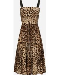 Dolce & Gabbana - Leopard-Print Cady Wrap Dress - Lyst