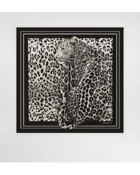 Dolce & Gabbana - Fular En Sarga De Seda Con Estampado Leopardo 70 X 70 - Lyst