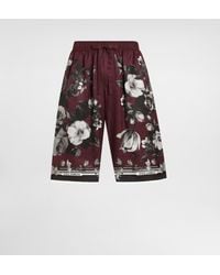 Dolce & Gabbana - Peony Ramage-Print Vanity Twill Trousers - Lyst