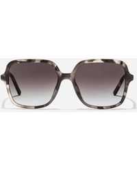 Dolce & Gabbana - Dg Everyday Sunglasses - Lyst