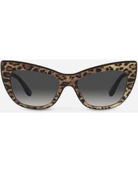 Dolce & Gabbana - New Print Sunglasses - Lyst