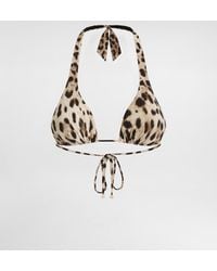 Dolce & Gabbana - Leopard-Print Padded Triangle Bikini Top - Lyst