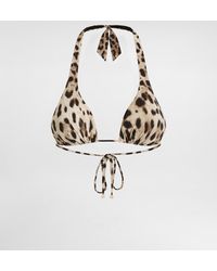 Dolce & Gabbana - Leopard-Print Padded Triangle Bikini Top - Lyst