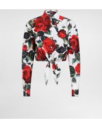 Dolce & Gabbana - Kurze Bluse Mit Schleife Aus Baumwolle Rosenprint - Lyst