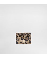 Dolce & Gabbana - Polished Calfskin Card Holder With Leopard Print - Lyst