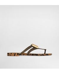 Dolce & Gabbana - Rubber Beachwear Slides With Logo And Leo - Lyst