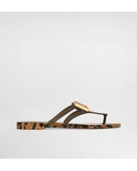 Dolce & Gabbana - Rubber Beachwear Slides With Logo And Leo - Lyst