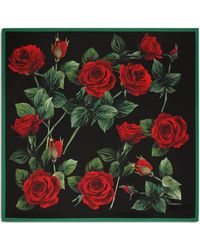 Dolce & Gabbana Foulard 90x90 in twill stampa rose rosse - Multicolore