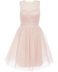 quiz dresses new in