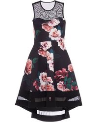 quiz black dip hem dress