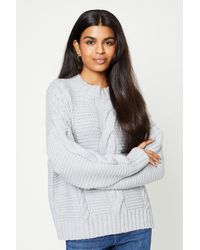 Dorothy Perkins - Petite Chunky High Neck Cable Jumper - Lyst