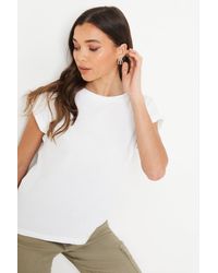Dorothy Perkins - Petite Cotton Roll Sleeve T-shirt - Lyst