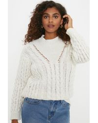 Dorothy Perkins - Cable Detail Crew Neck Jumper - Lyst
