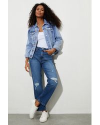 Dorothy Perkins - Straight Jeans - Lyst