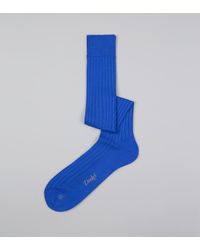 Drake's Royal Blue Cotton Over-the-calf Socks