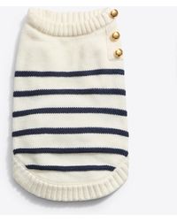Draper James - Dog Sweater In Mariner Stripe - Lyst