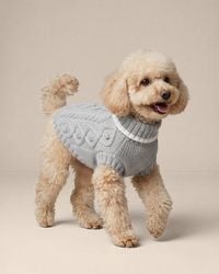 Draper James - Cable Knit Dog Sweater - Lyst