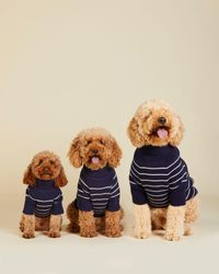Draper James - Dj X Tfd Dog Sweater In Mariner Stripe - Lyst