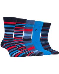 Farah - 5 Pack Bamboo Bright Striped Patterned Socks - Lyst