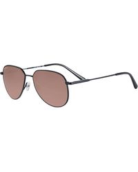 Serengeti - Haywood Ss543002 Sunglasses - Lyst
