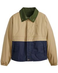 Levi's - Levis Rex-Jas Voor Reguliere Pasvorm, Met Kleurblokken (Goud/Blauw/Groene Print) - Lyst