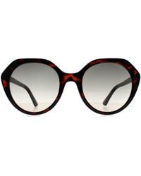 Guess - Oval Dark Havana Gradient Gf6201 - Lyst