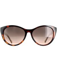 Ted Baker - Cat Eye Tortoise Flower Gradient Tb1583 Lisbet Sunglasses - Lyst