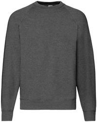 Fruit Of The Loom - Volwassenen Klassiek Raglan Sweatshirt (donkere Heide) - Lyst