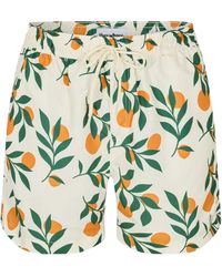 Threadbare - Ripen Regular Zwemshort Voor - Lyst