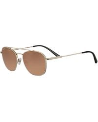Serengeti - Carroll Ss542006 Sunglasses - Lyst