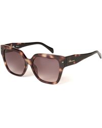 Blumarine - Zonnebril Havana/Glanzend Beig - Lyst