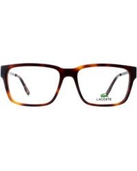 Lacoste - Square Herren Havanna Brille - Lyst