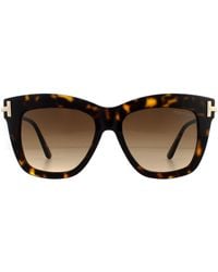 Tom Ford - Square Dark Havana Gradient Sunglasses - Lyst