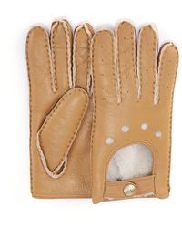 Australia Luxe - Motorradhandschuhe Aus Kastanienbraunem Leder - Lyst