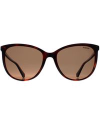 Polaroid - Katzenaugen Damen Havana Bronze Polarisiert Pld 4138/S - Lyst