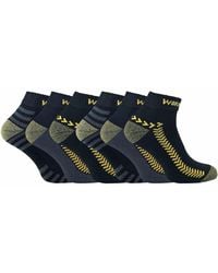 Sock Snob - 6 Pairs Cotton Anti Sweat Low Cut Work Socks For Steel Toe Boots - Lyst
