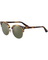 Serengeti - Susan Ss560002 Sunglasses - Lyst