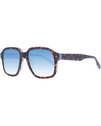 Scotch & Soda - Brown Metal Sunglasses - Lyst