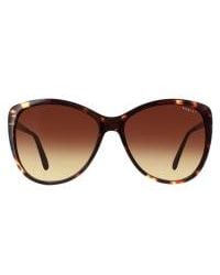 Radley - Cat Eye Havana Gradient Gwyneth - Lyst