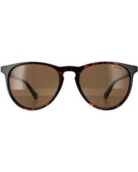 Polaroid - Rectangle Dark Havana Bronze Polarized Pld 4152/S - Lyst