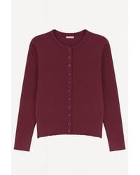 MixRay - Buttoned Slim Fit Ribbed Knit Cardigan - Lyst