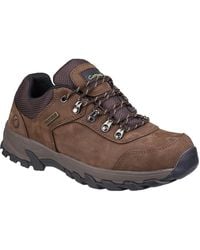 Cotswold - Hawling Lace Up Walking Shoe Leather - Lyst