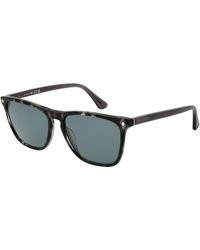 Web - Black Acetate Sunglasses - Lyst