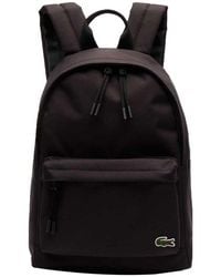 lacoste backpack price