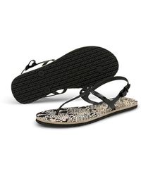 PUMA Sandals and flip-flops for Women | Online Sale up to 31% off | Lyst