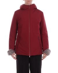 Suns - Rode Jassen - Lyst