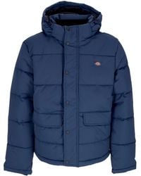 Dickies - Winter Jackets - Lyst